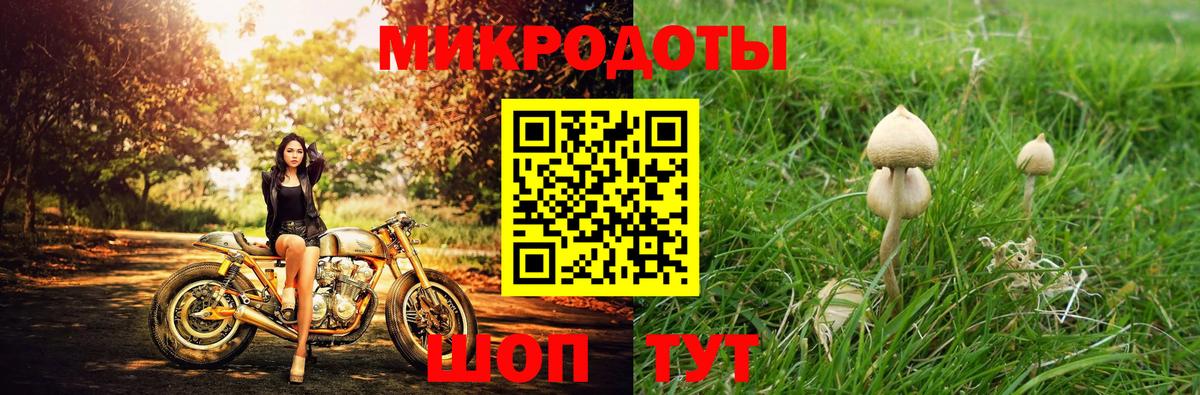 Псилоцибиновые грибы GOLDEN TEACHER Обь